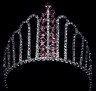 Ms. Picture Perfect U.S. crown